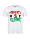 Property of NO one Juneteenth