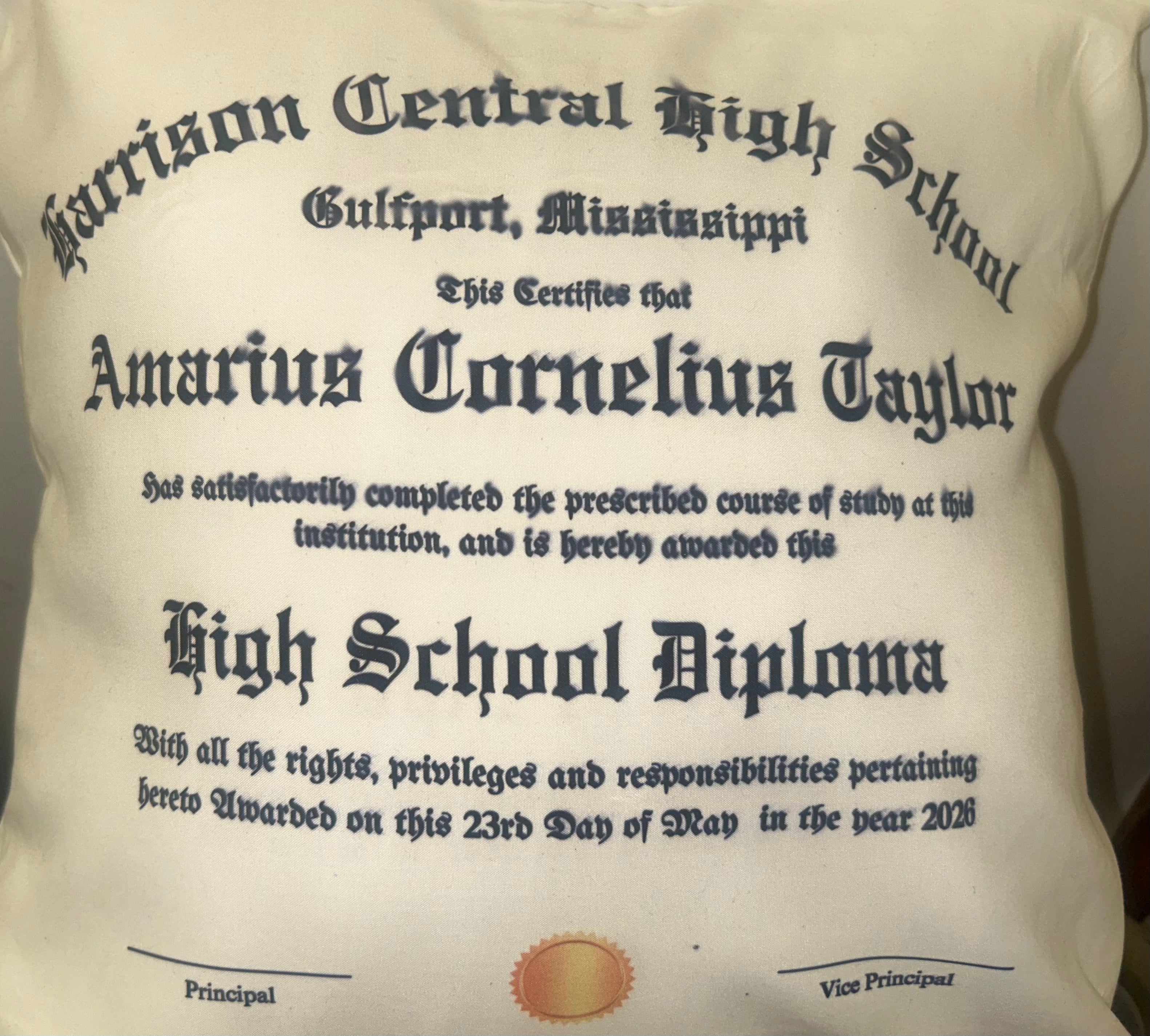 Custom Graduation Diploma Pillow | Personalized Class of 2026 Keepsake | Senior Graduation Gift | Memory Pillow